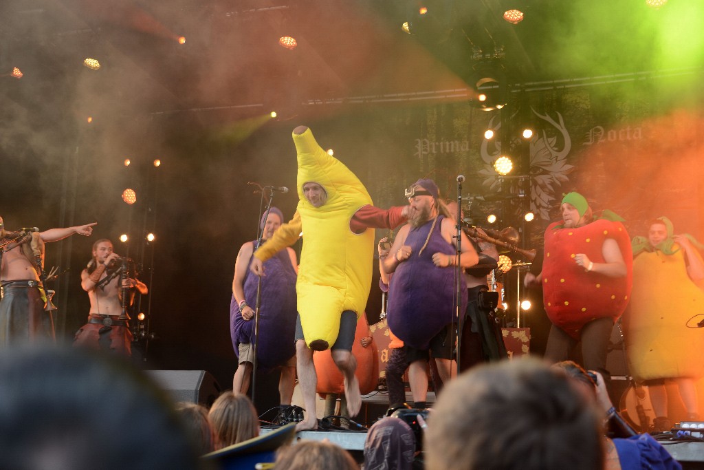 ../Images/Zondag Castlefest 2015 236.jpg